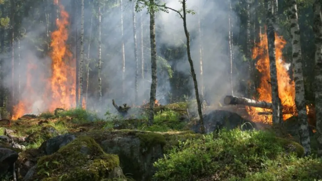 У Дніпропетровській області прогнозують надзвичайну пожежну небезпеку