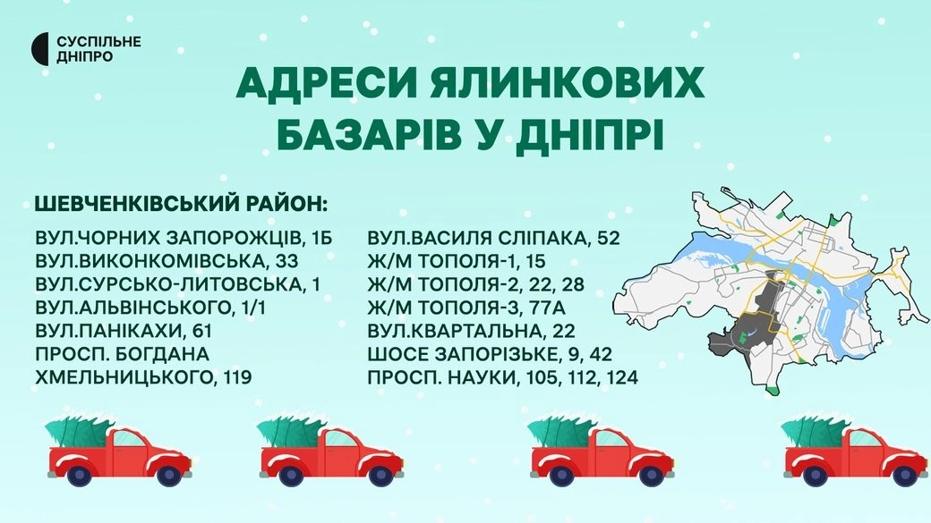 У Дніпрі запрацювали ялинкові базари: де купити легальні новорічні дерева
