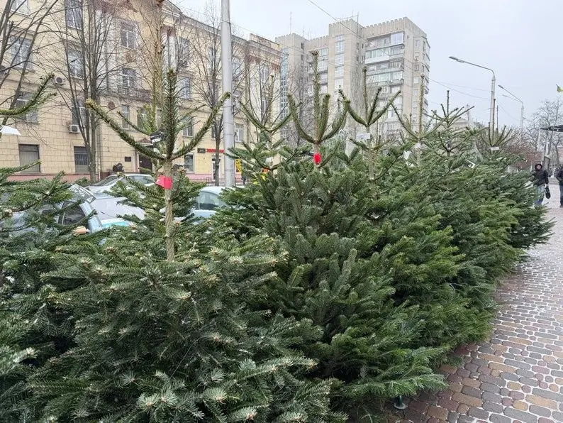 Від 300 гривень до 10 тисяч: у Дніпрі запрацювали ялинкові базари
