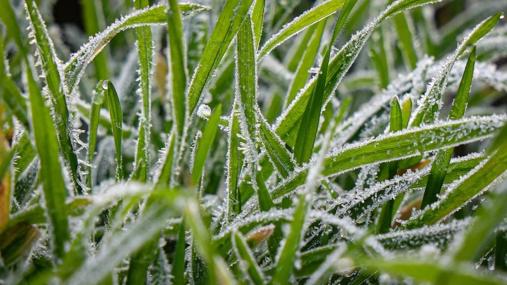 Нестабільна погода на Дніпропетровщині: Морози до -12°C та без опадів