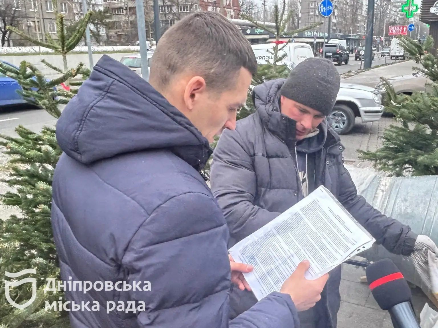 Рейд на ялинкових базарах Дніпра: чи легально торгують зеленими красунями?