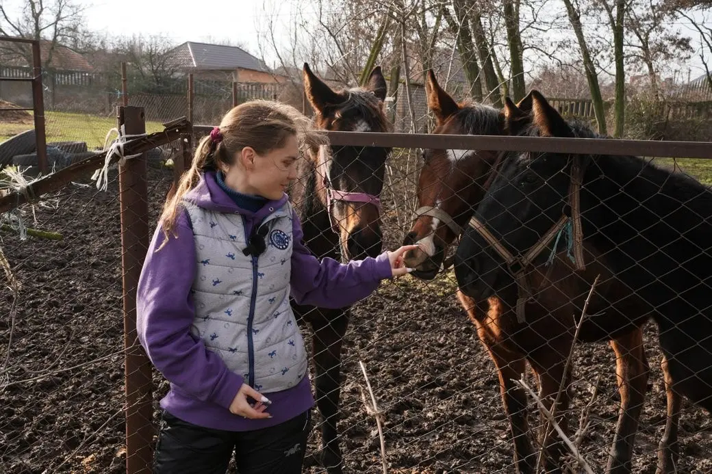 Врятовані коні в Миколаєві: нове життя після евакуації з-під обстрілів