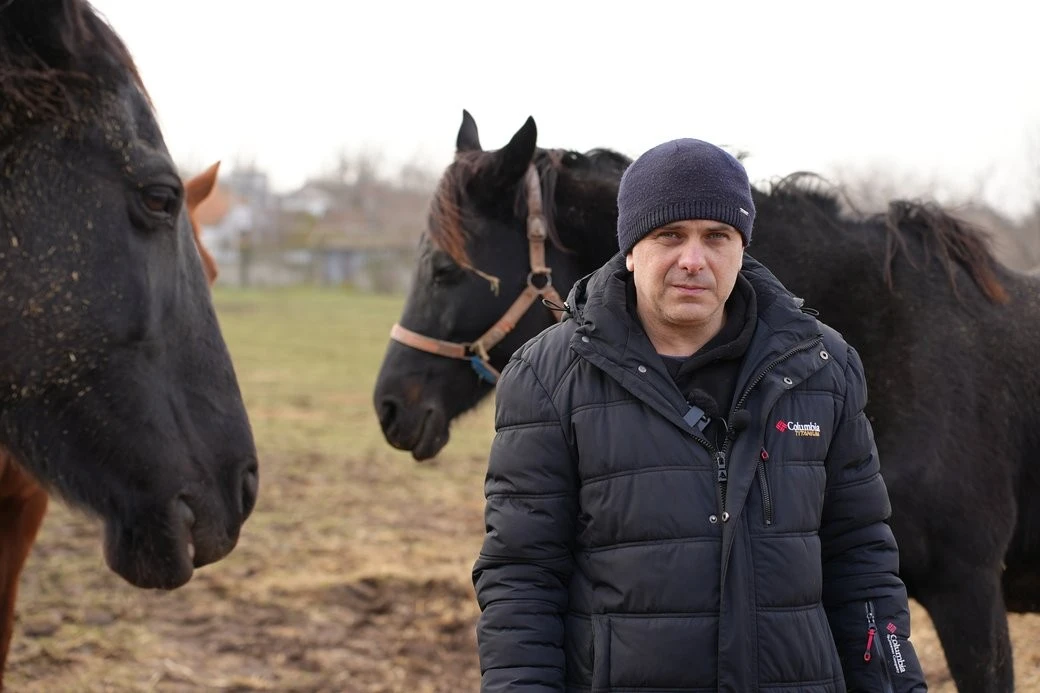 Врятовані коні в Миколаєві: нове життя після евакуації з-під обстрілів