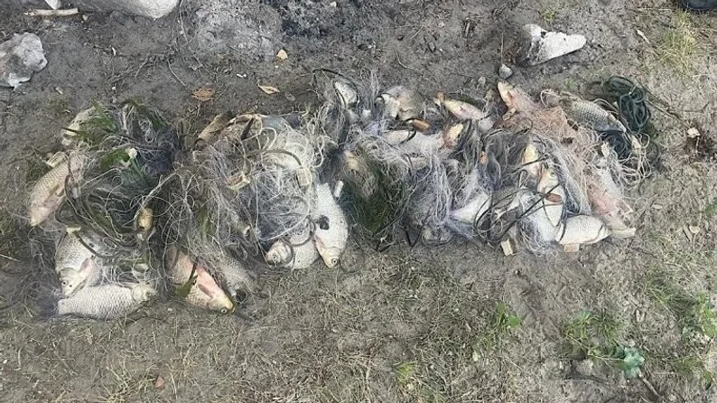На Дніпропетровщині повідомили про підозру рибалці за незаконний вилов