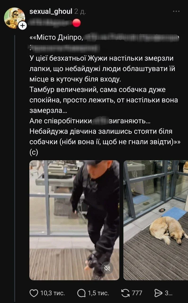 Бездомного пса вигнали на мороз: скандал у супермаркеті Дніпра