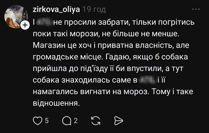 Бездомного пса вигнали на мороз: скандал у супермаркеті Дніпра