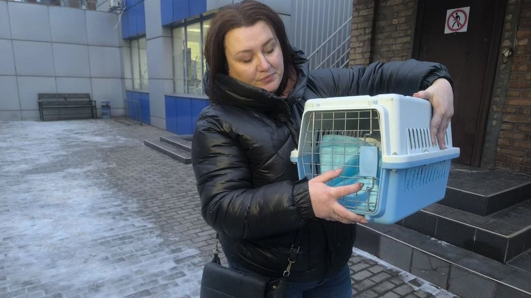 Трагедія у дев’ятиповерхівці Кривого Рогу: поліція розслідує смерть кішки Бусі через дитячу жорстокість