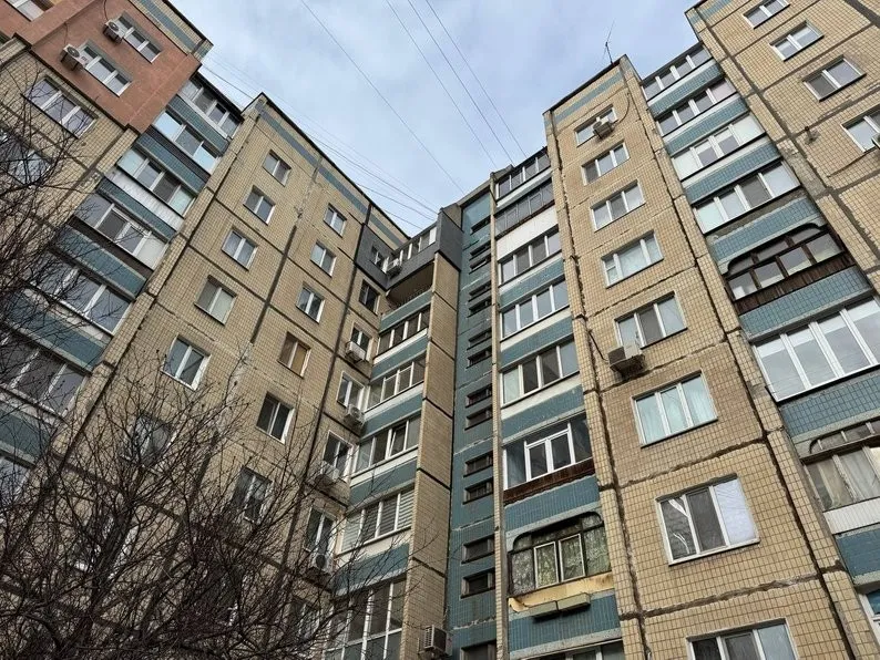 Трагедія у дев’ятиповерхівці Кривого Рогу: поліція розслідує смерть кішки Бусі через дитячу жорстокість