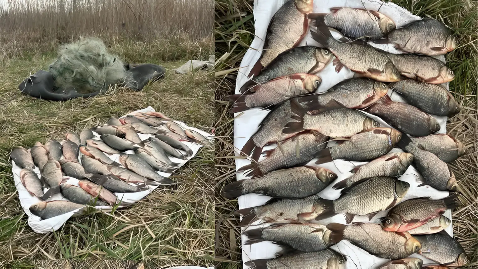 Понад 56 тисяч гривень за карасів: на Дніпропетровщині затримали браконьєра на гумовому човні
