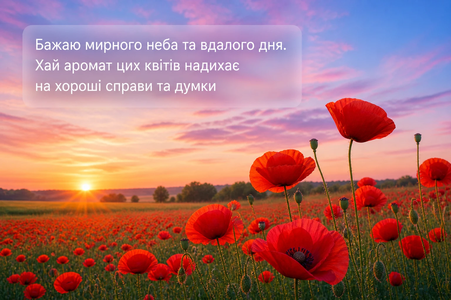 Картинки доброго ранку та квіти: найкрасивіші листівки для душевного привітання