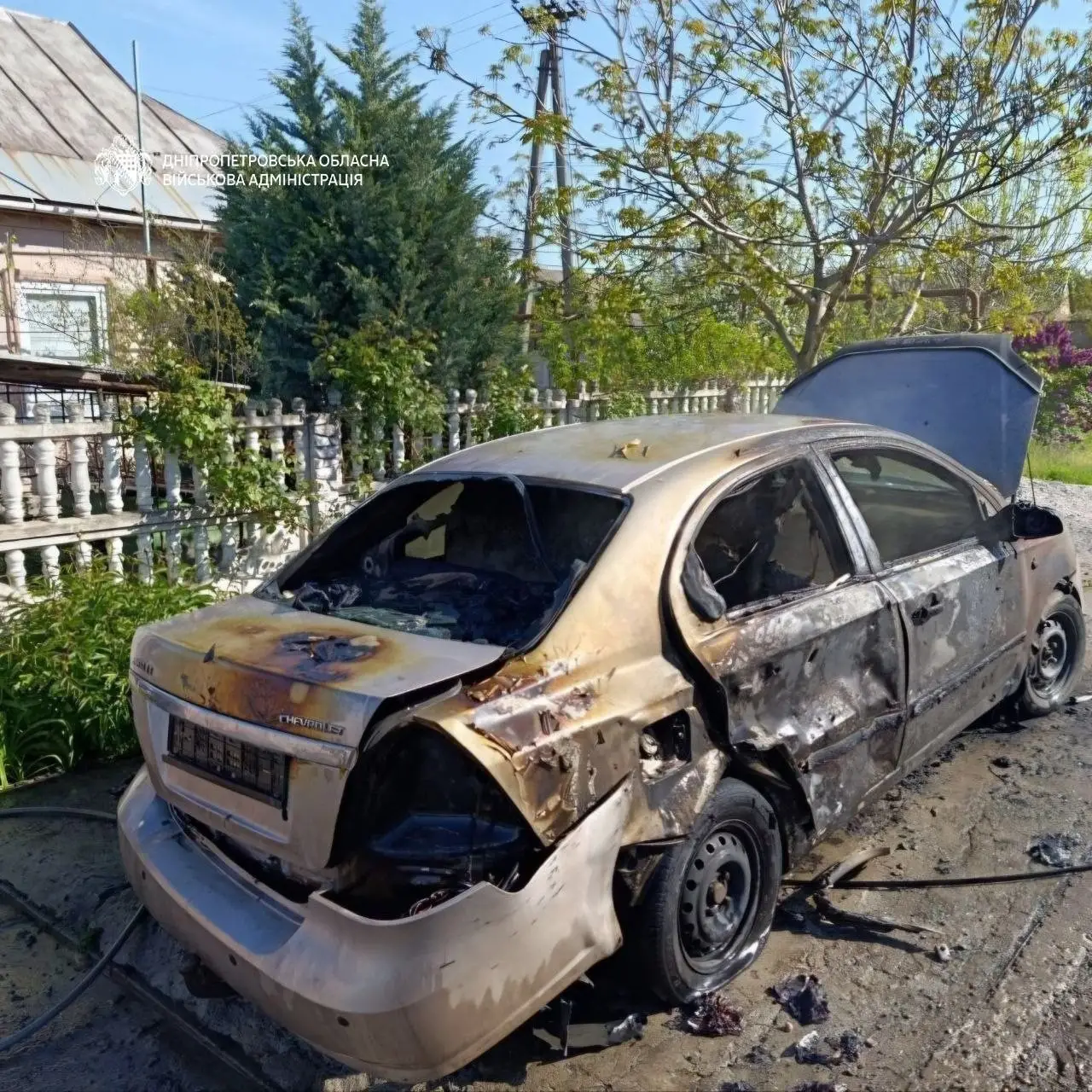 Іграшкова зброя та реальні протоколи: поліція Дніпра знайшла підлітків, які стріляли по тваринах