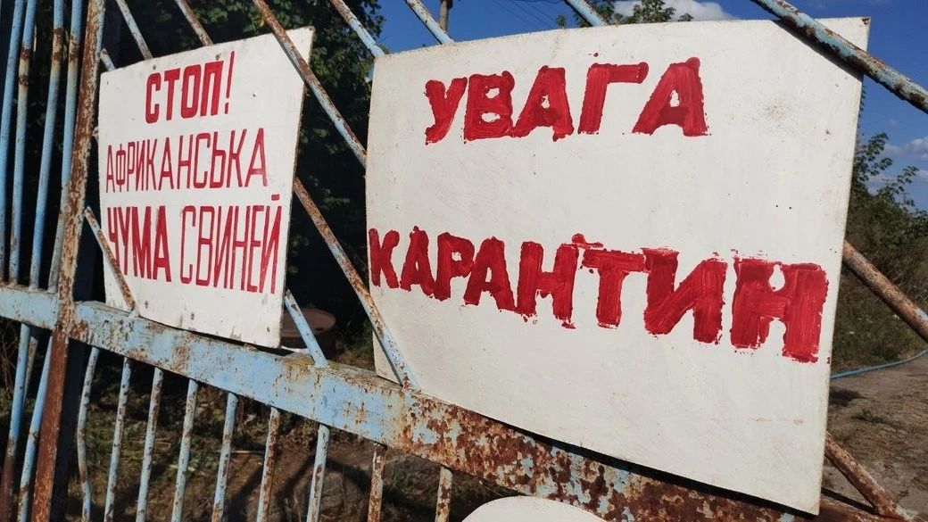 Карантинні заходи через спалах АЧС на Дніпропетровщині