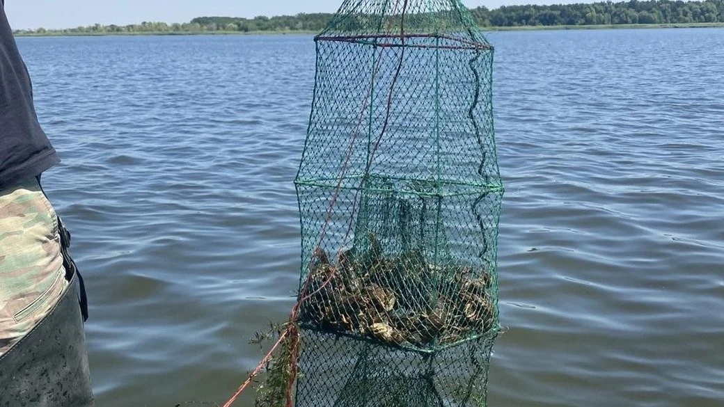 Рейд на Південному водосховищі: рибоохоронний патруль врятував понад тисячу раків