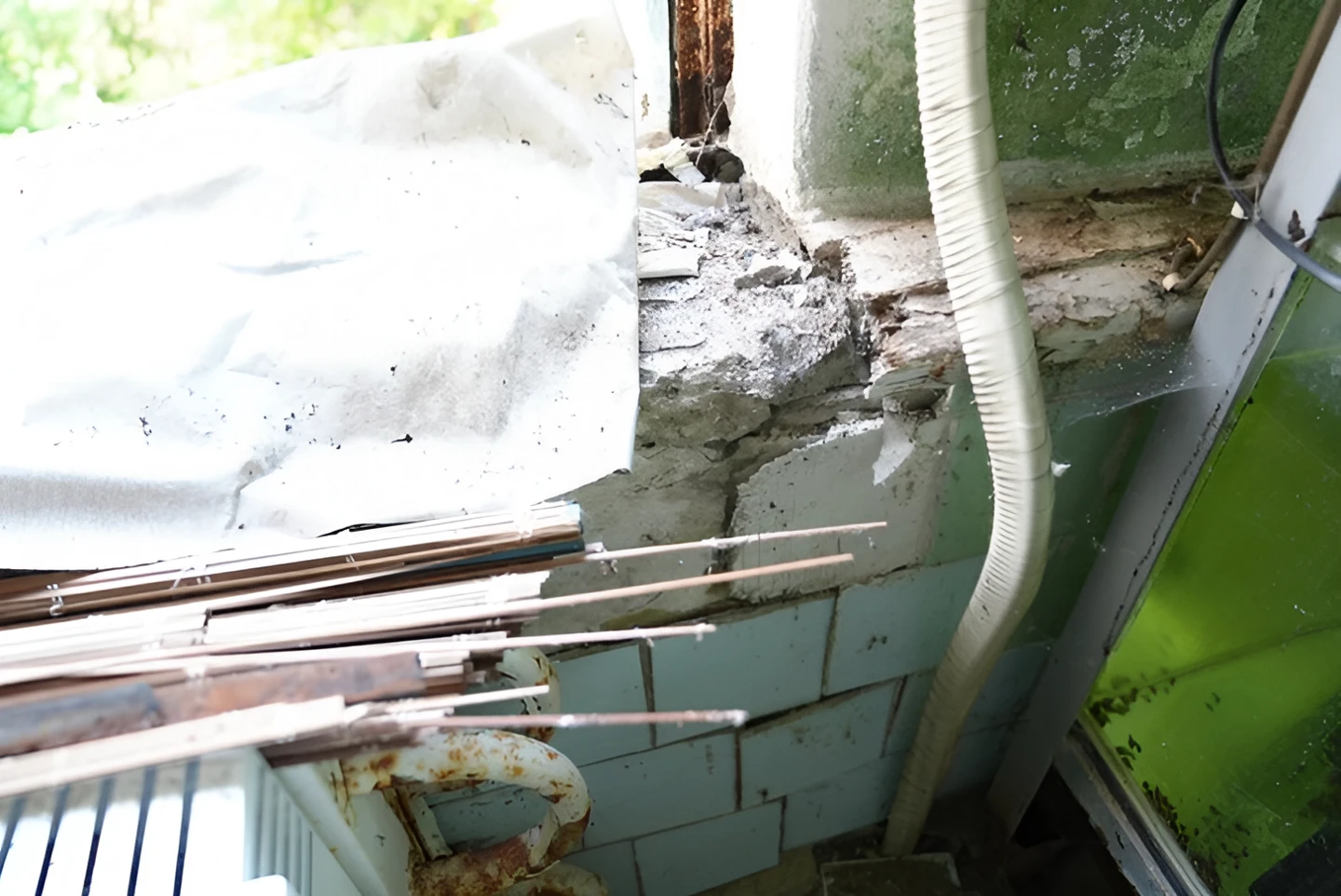 Загиблий під час ранкового обстрілу дніпровський крокодил стане музейним експонатом